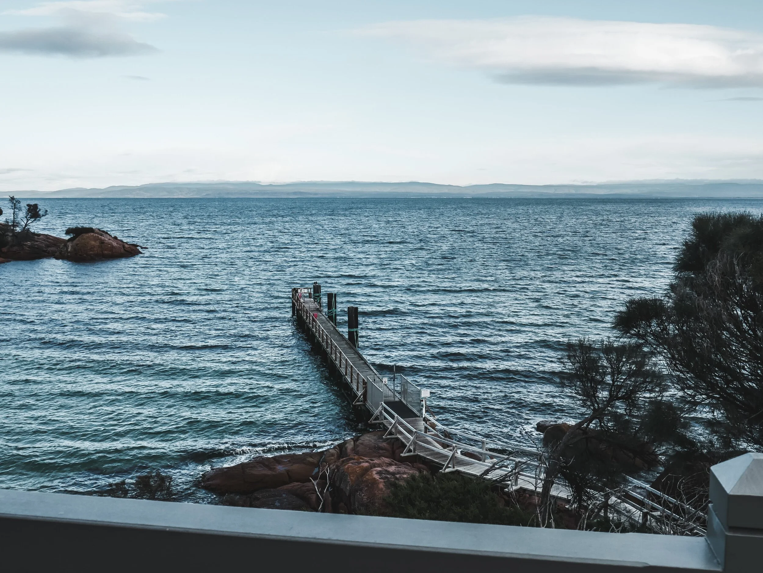 Roney (Full) (37 of 201)(1).jpg