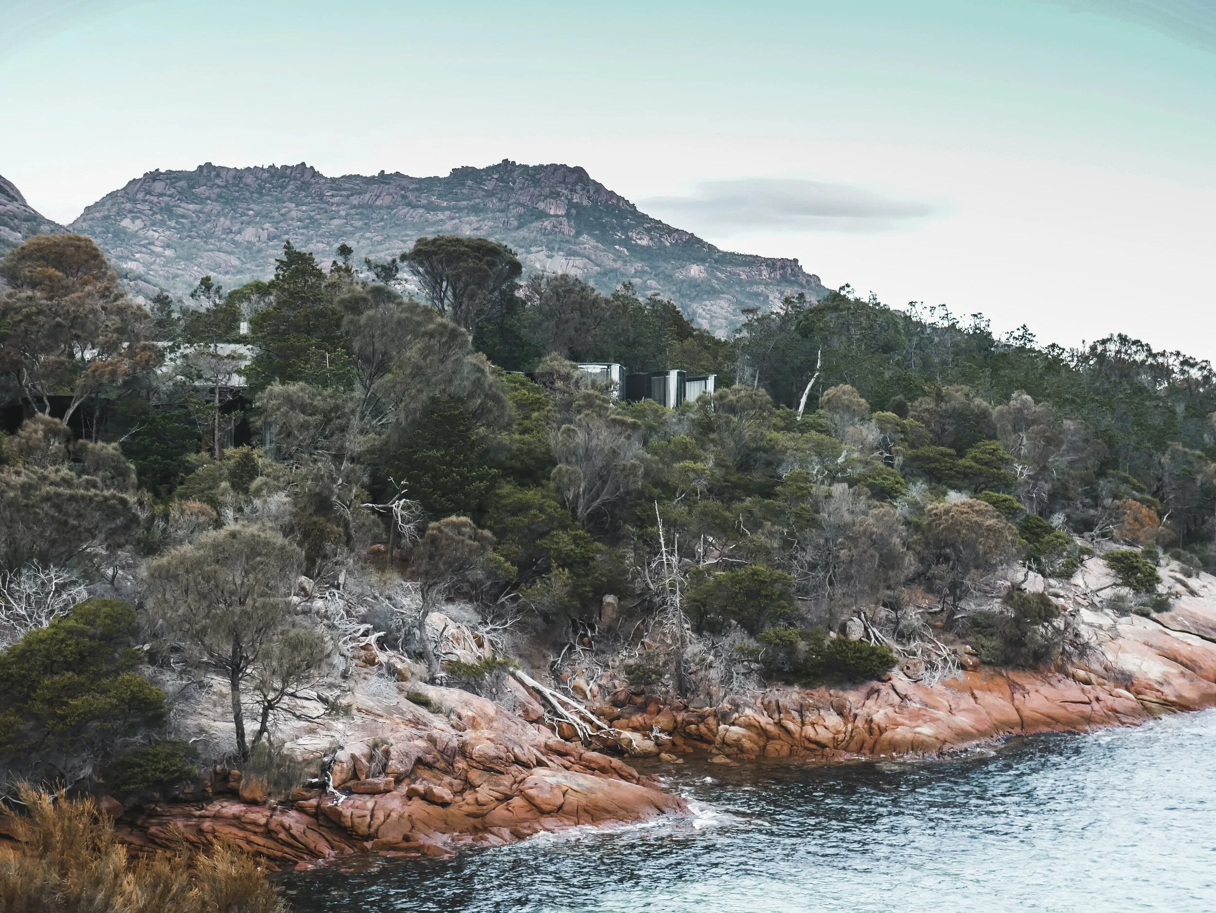 Roney (Full) (38 of 201)(1).jpg