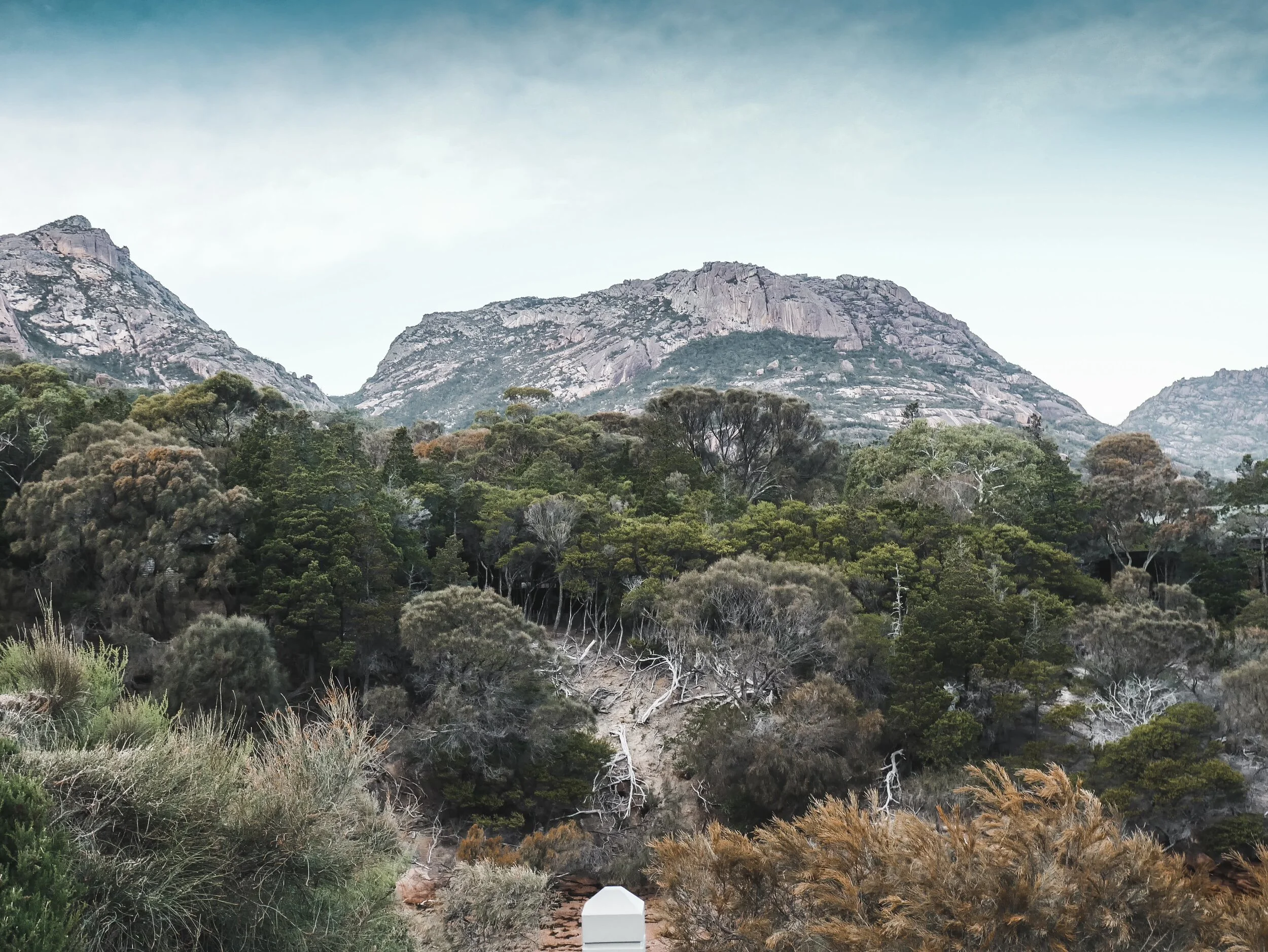 Roney (Full) (39 of 201)(1).jpg