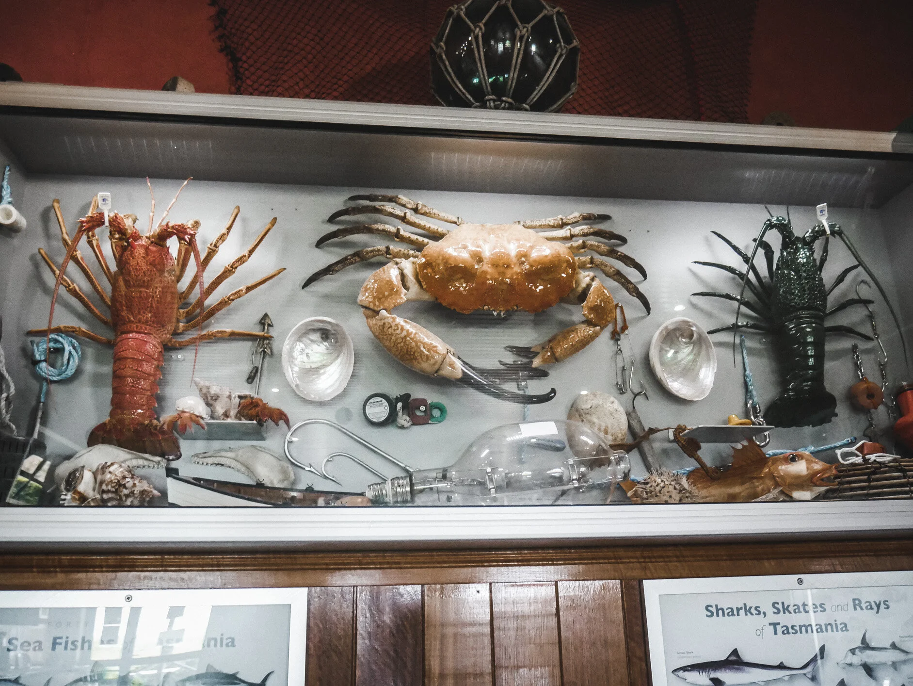 Nick Roney (Web) (164 of 235).jpg