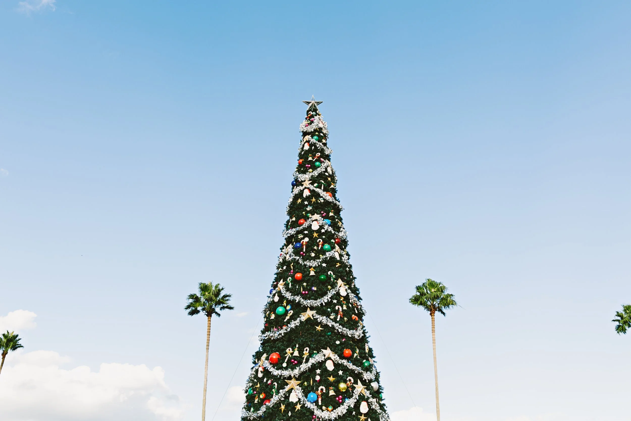 Photo by Thomas Kelley on Unsplash