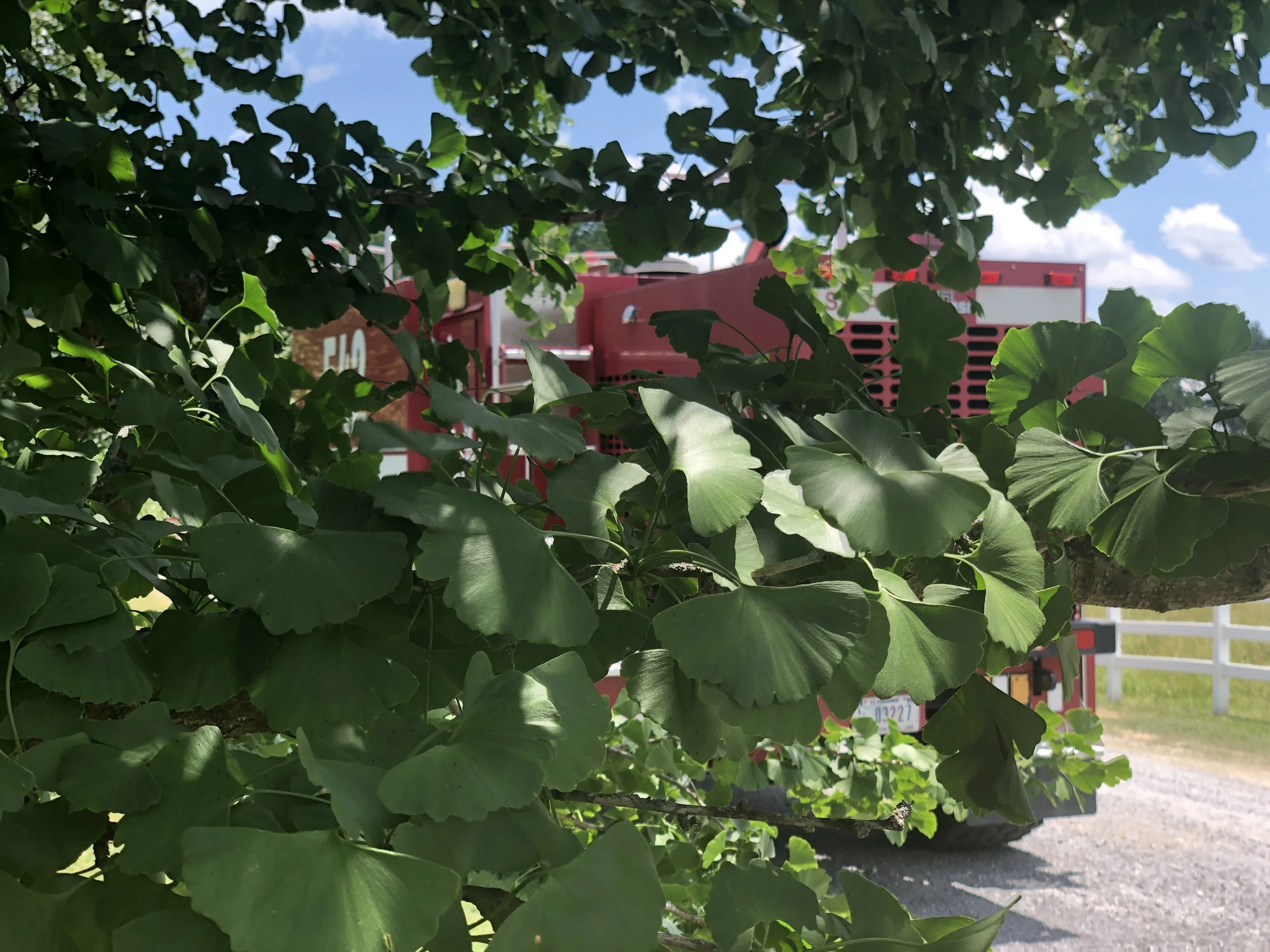 A Different Point of View