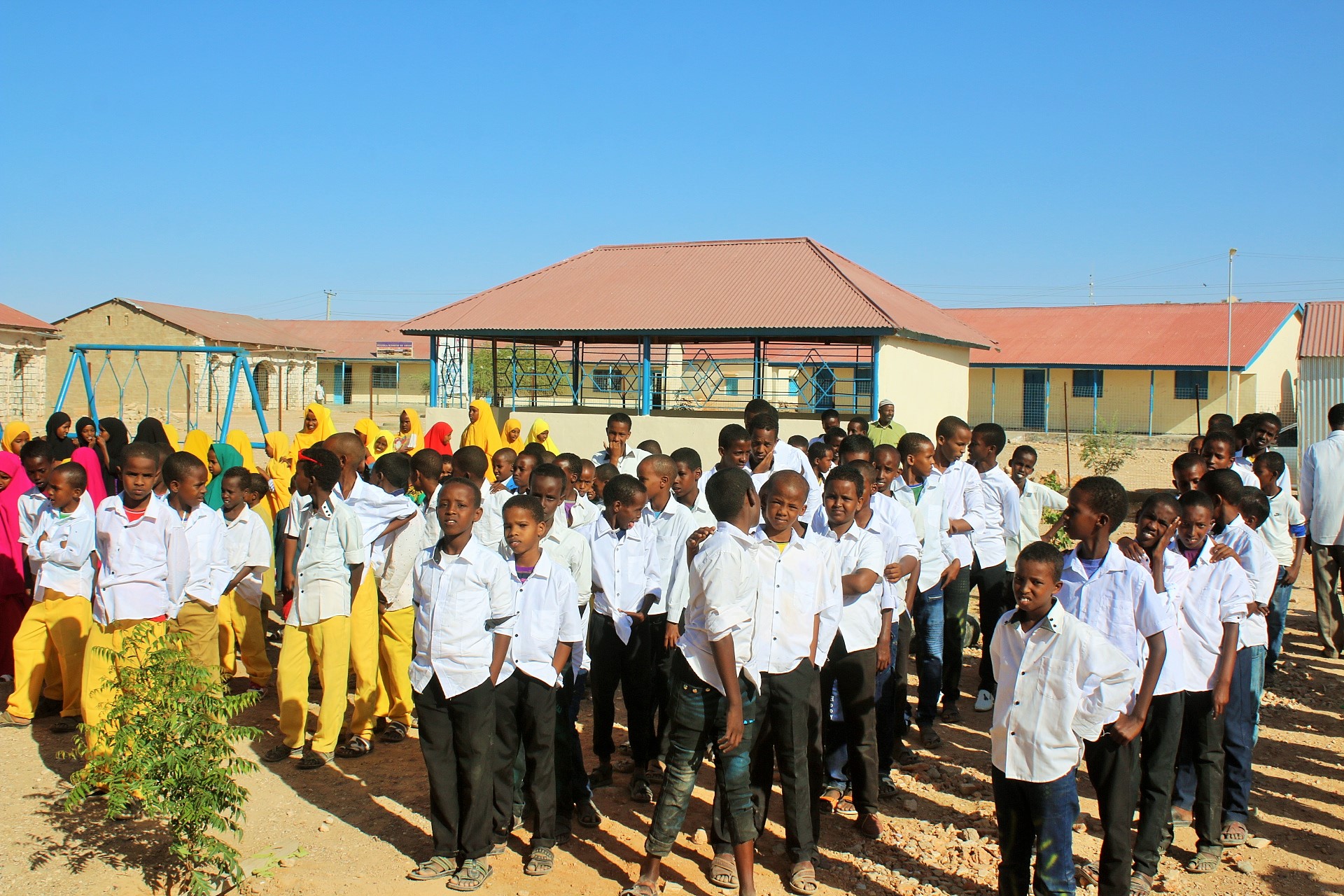 LITERACY DEPENDS ON EDUCATION