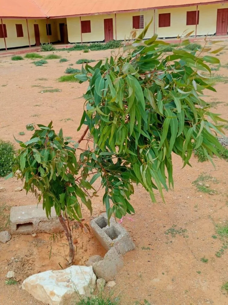 01936ed0-894a-44cc-bf0f-68182f4fd571 4.JPG