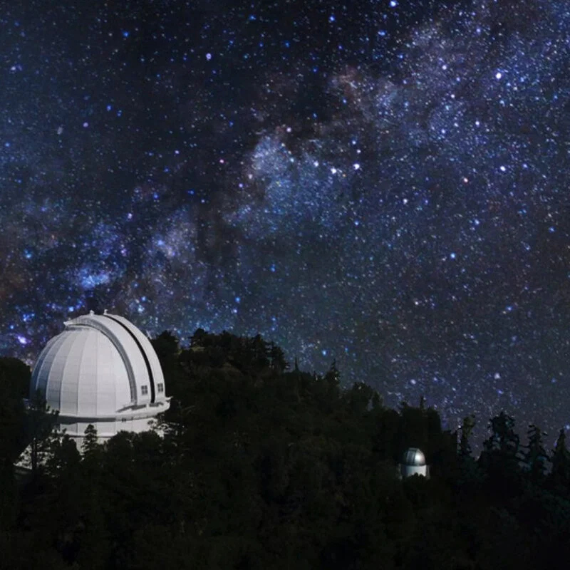 A Scientist Makes An Unexpected Discovery [FICTOID]  