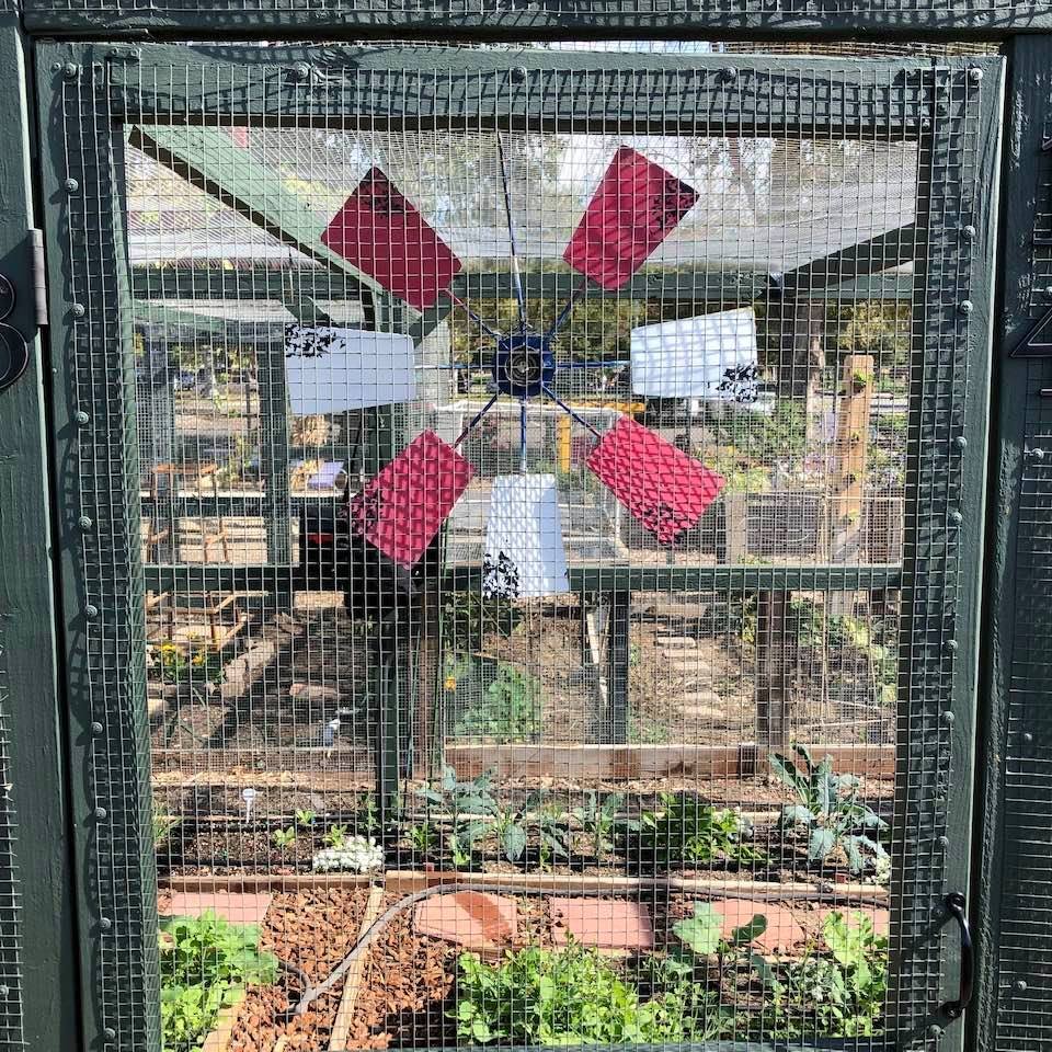 Gardening Report November 12, 2021