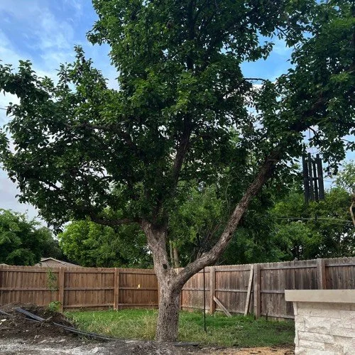 Too Much Is Never Enough [FICTOID]