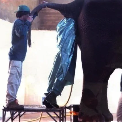 Family Matters [FICTOID]