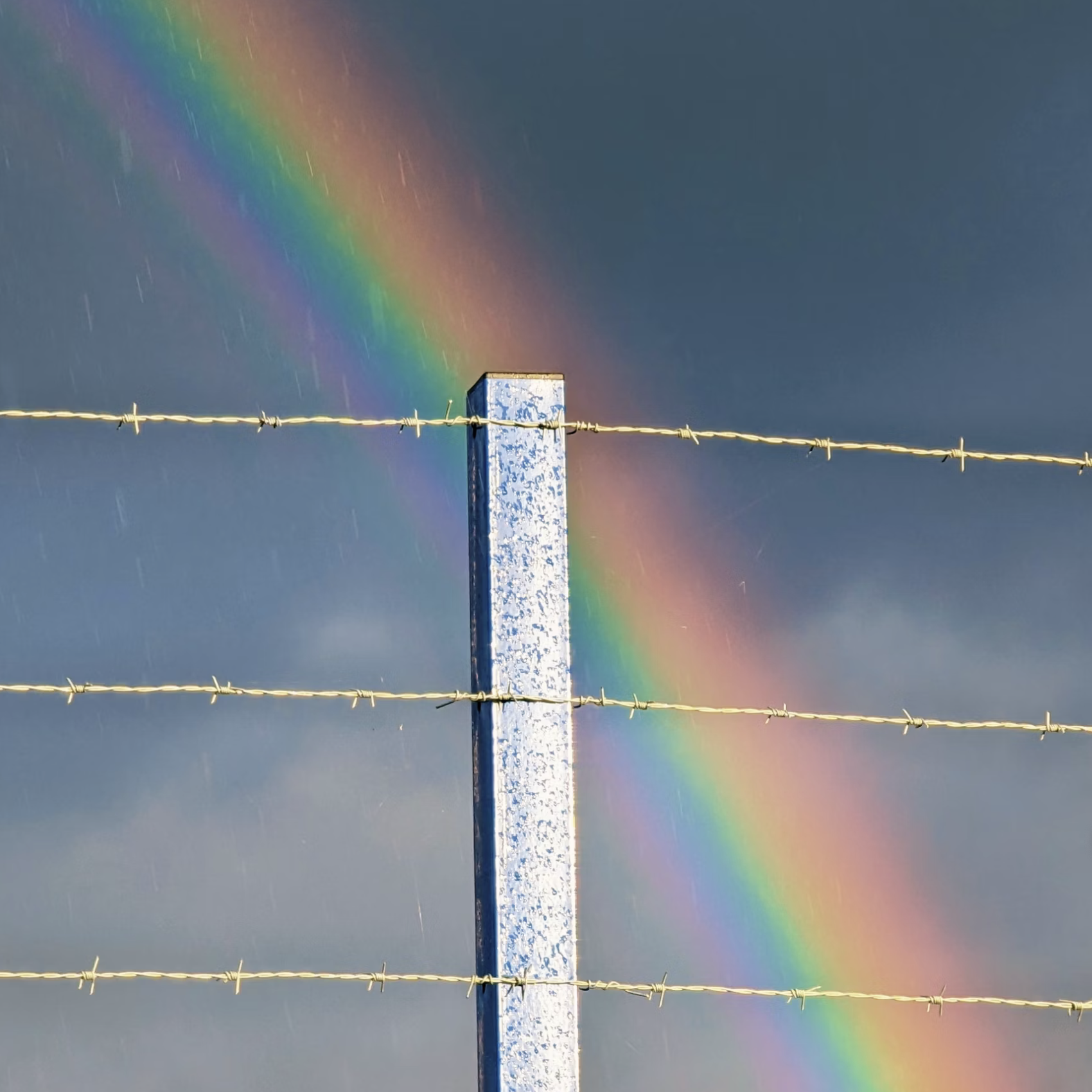 Did They Have Rainbows Over Dachau? [FICTOID]