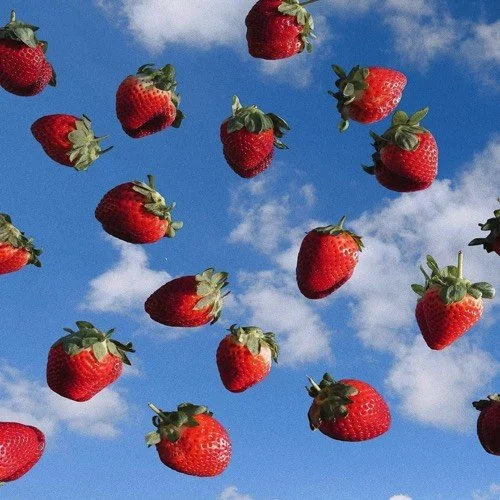Strawberry Rain [FICTOID]