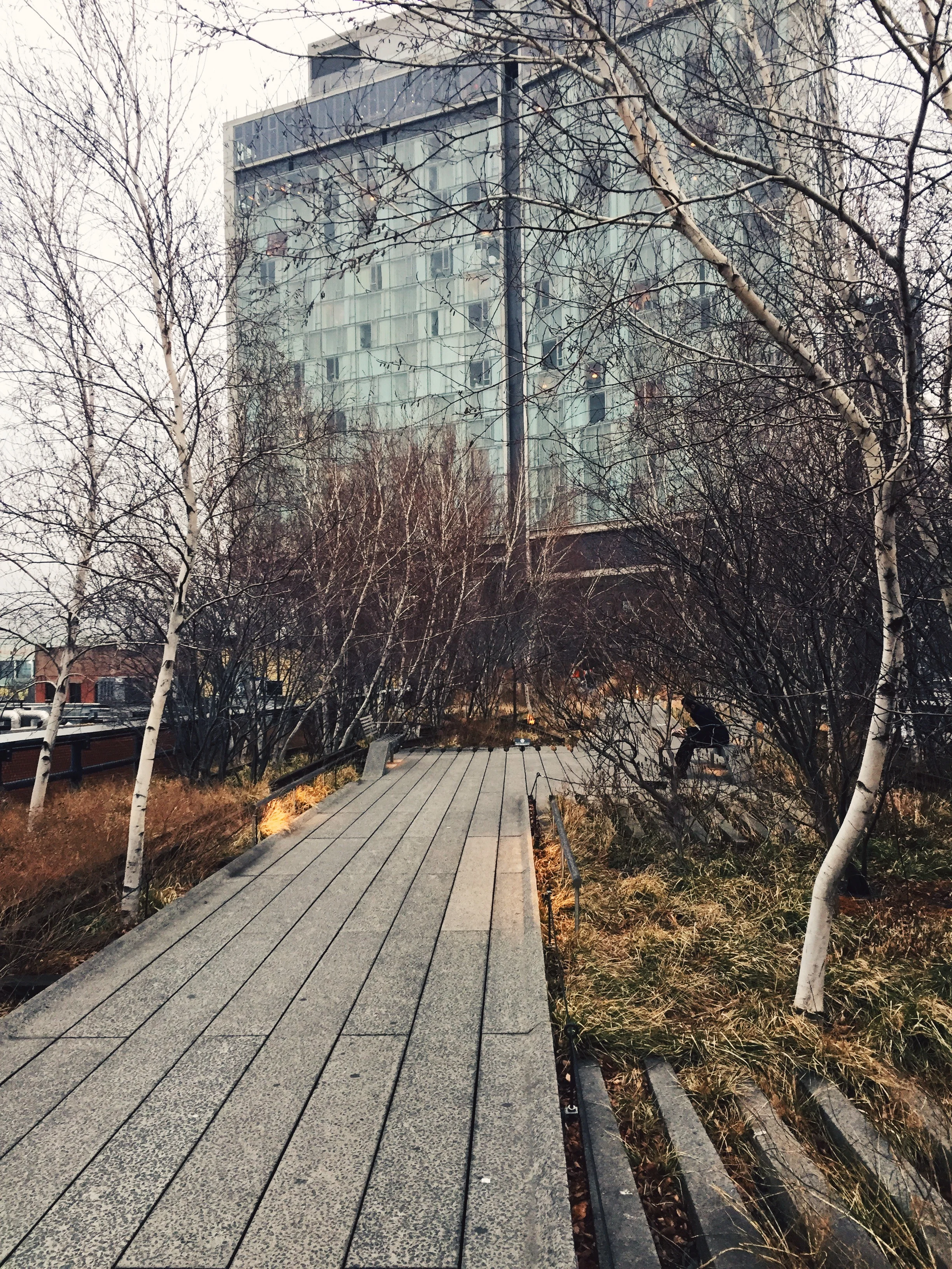 940B3FF6-1E19-420C-B4EE-A3129BEA211F.jpg