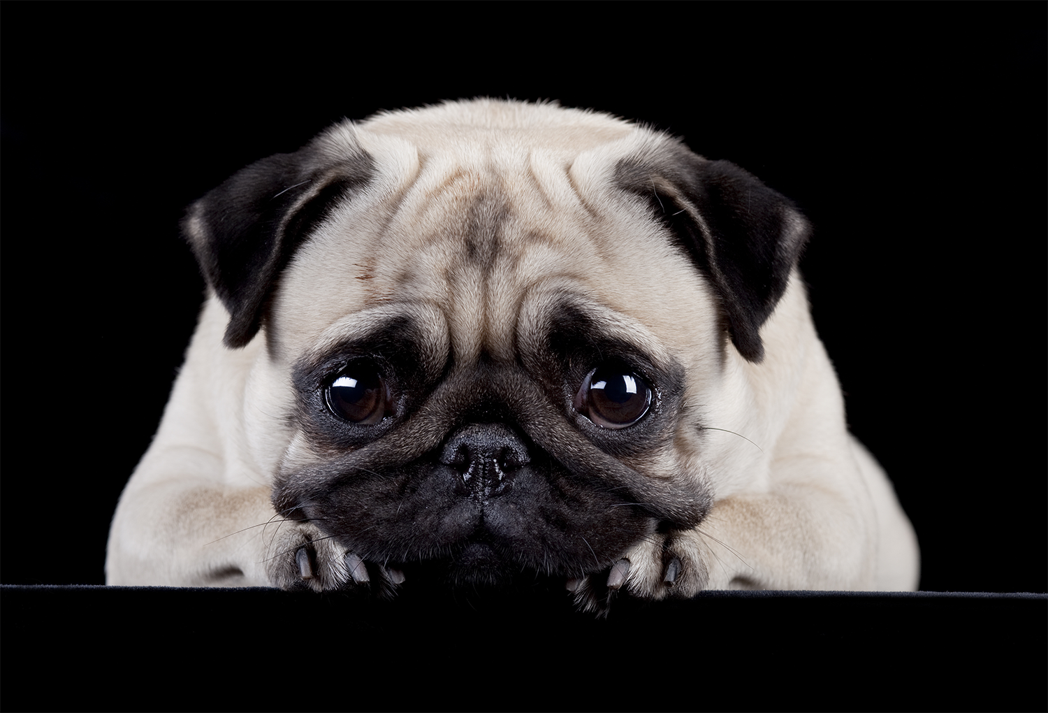 Castration: why, and more importantly, when