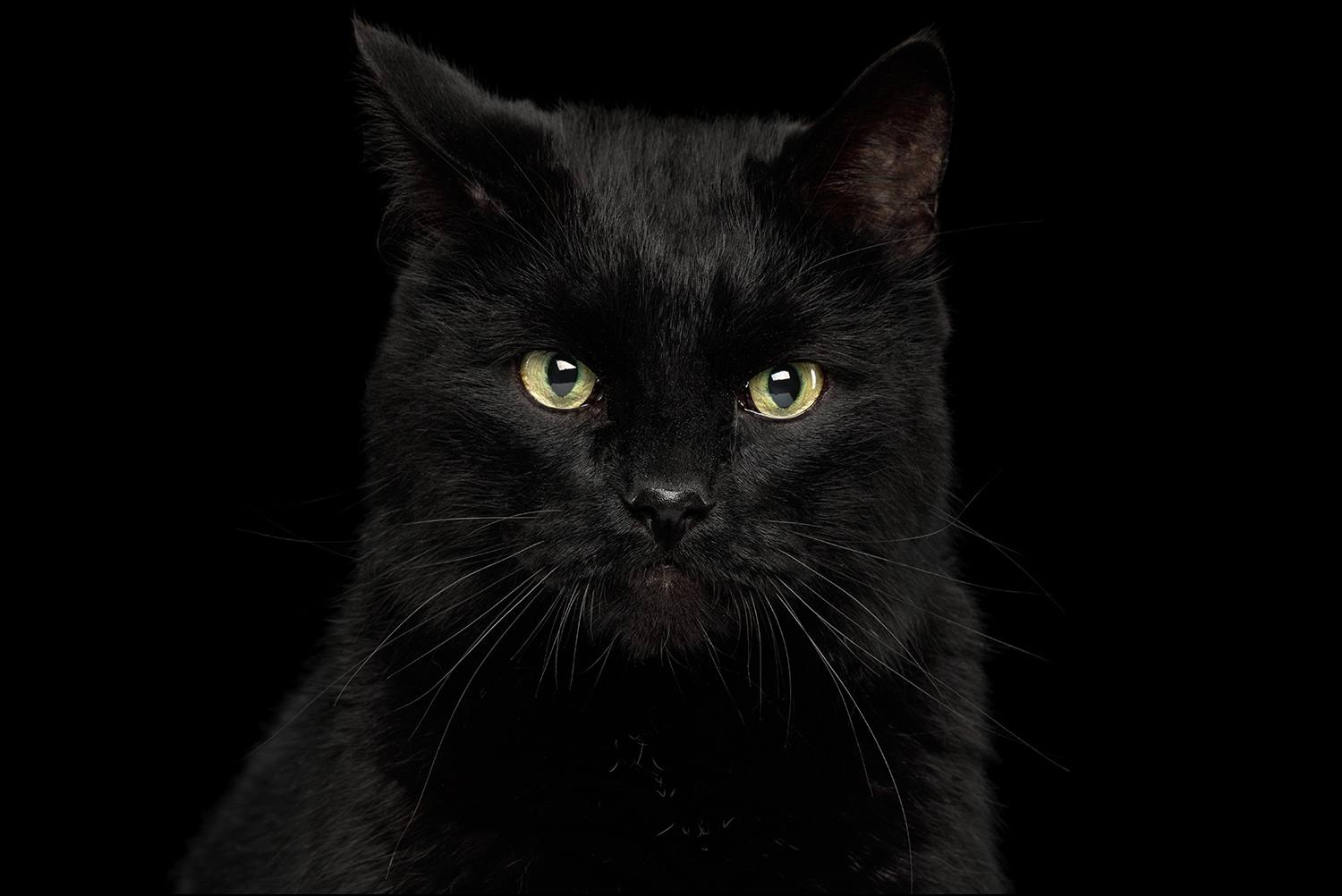 Black old.png