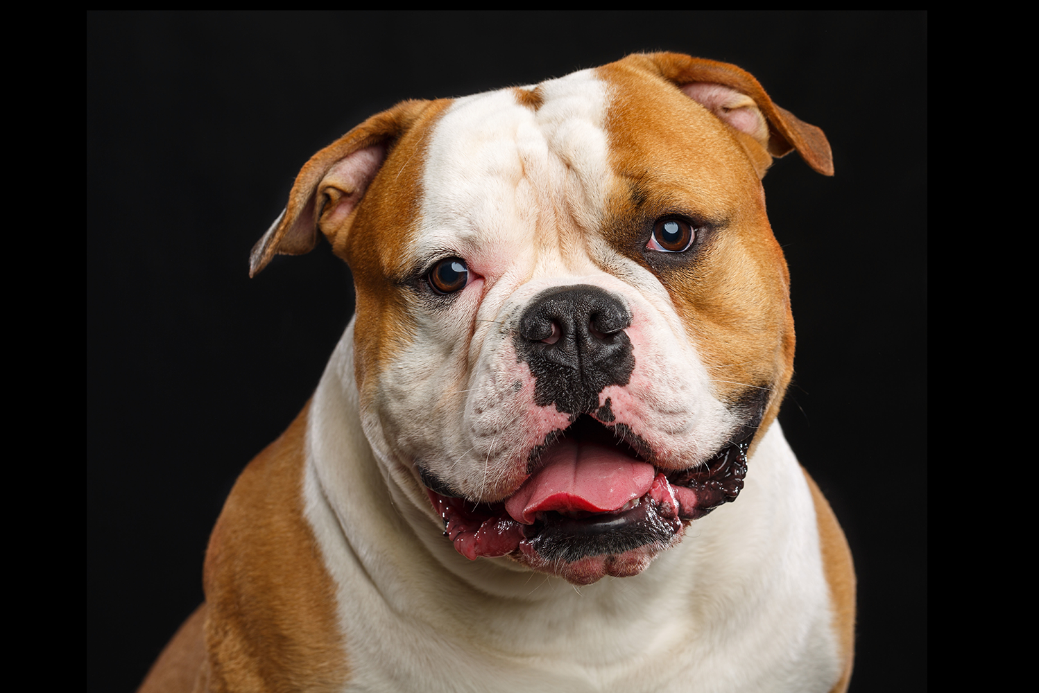 Cruciate ligament tears: the number one most common ortho injury