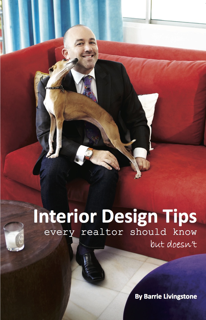 Interior Design Tips Every Realtor Should Know, But Doesn't book cover