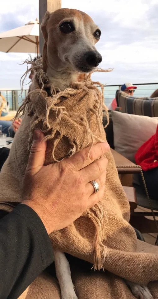 Rio at Little Beach House Malibu