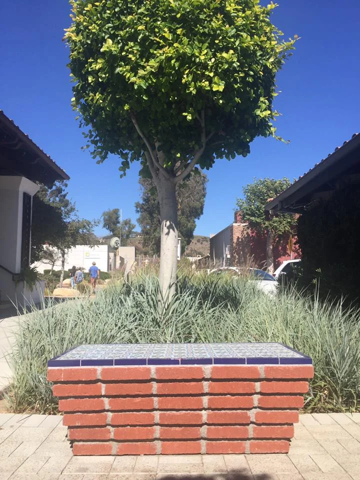 Bench of Malibu Country Mart