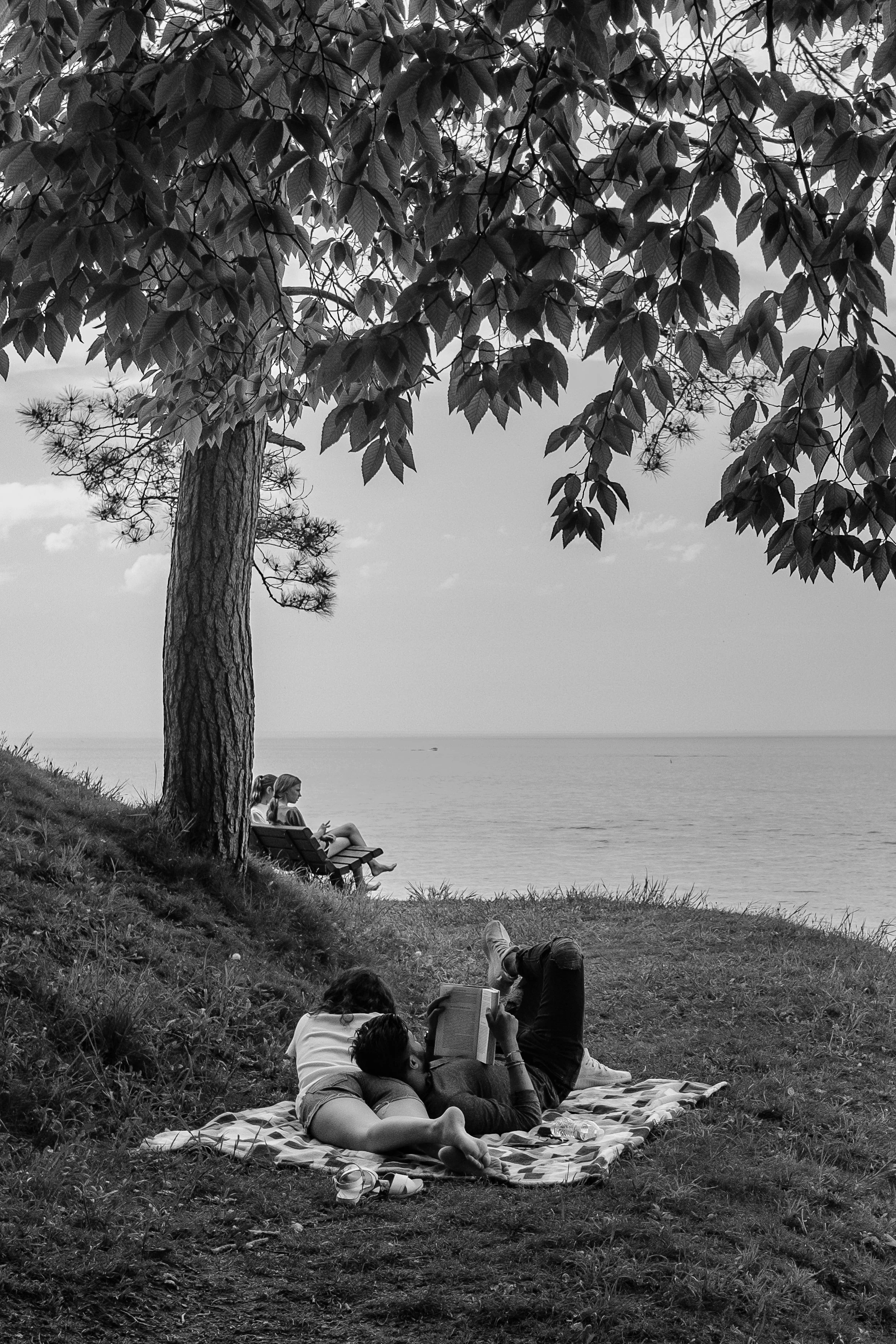 Beach Cliff.jpg