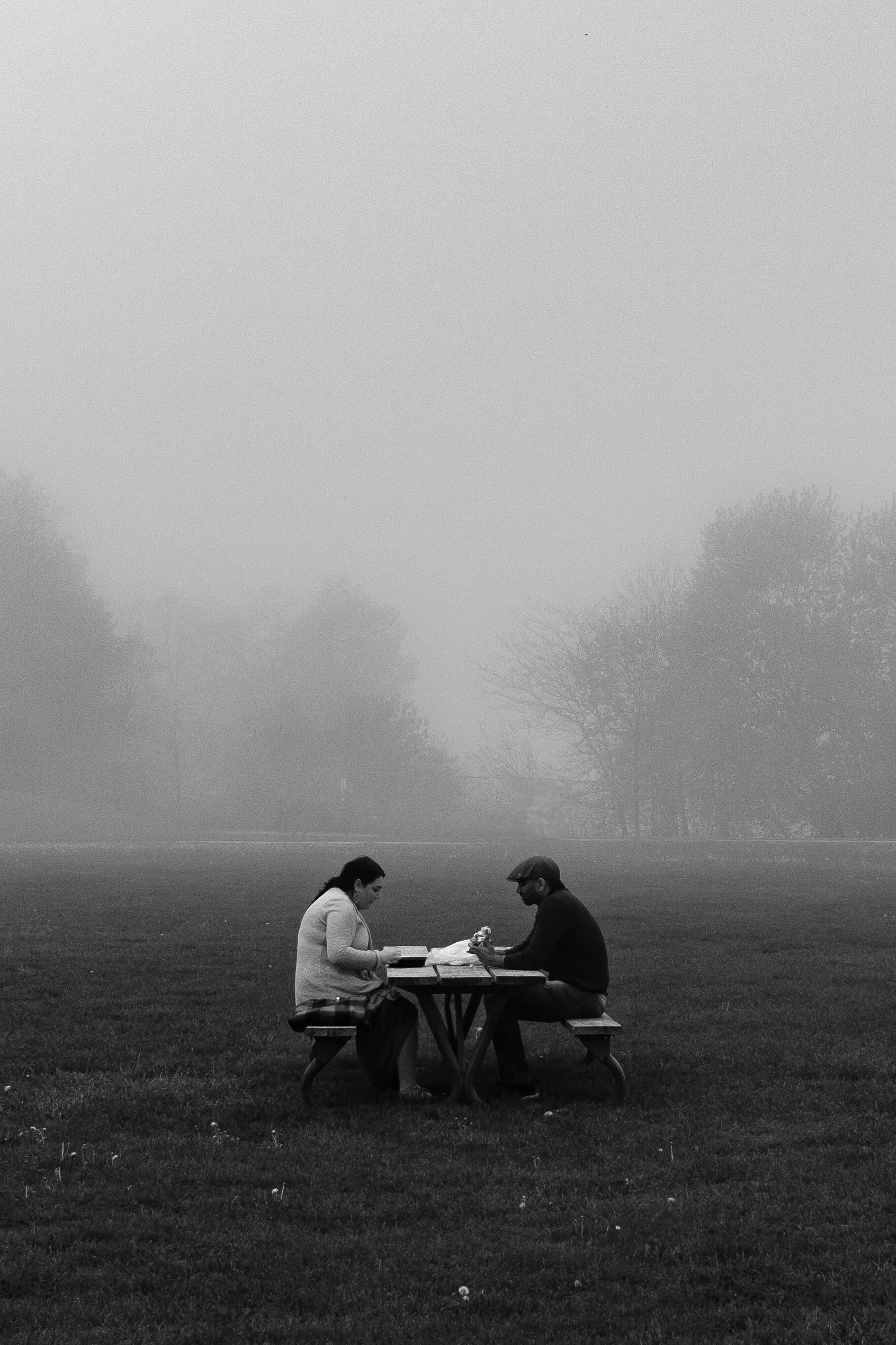 Picnic.jpg