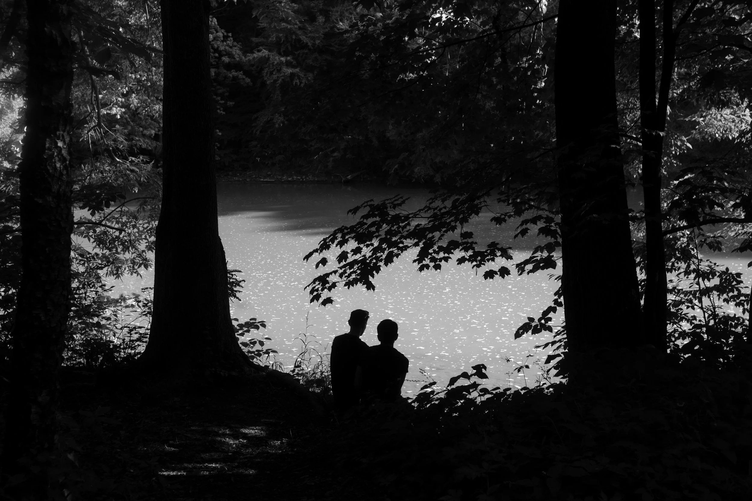 Metroparks.jpg