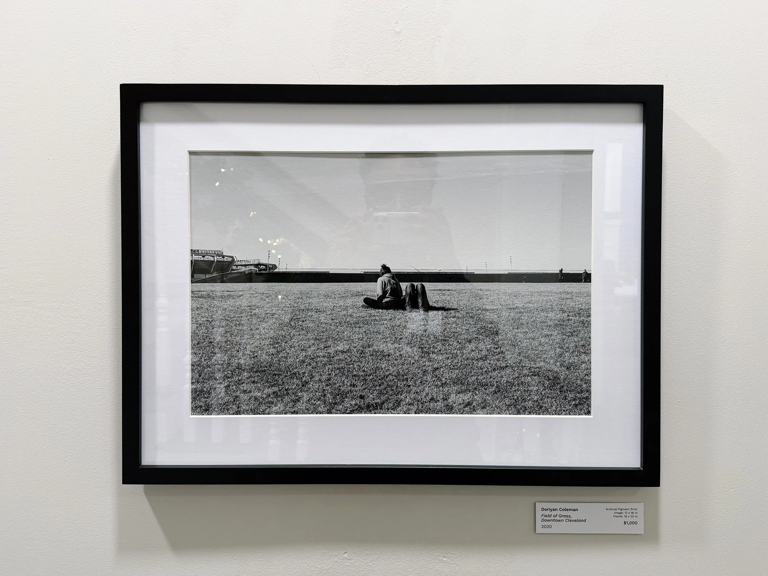 Field of Grass, Downtown Cleveland | Archival Pigment Print