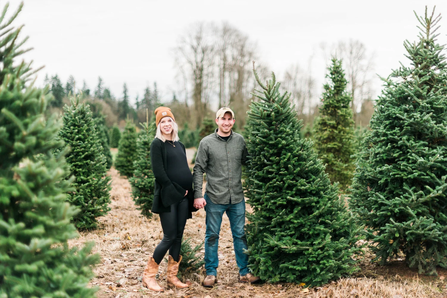 The Great Christmas Tree Hunt