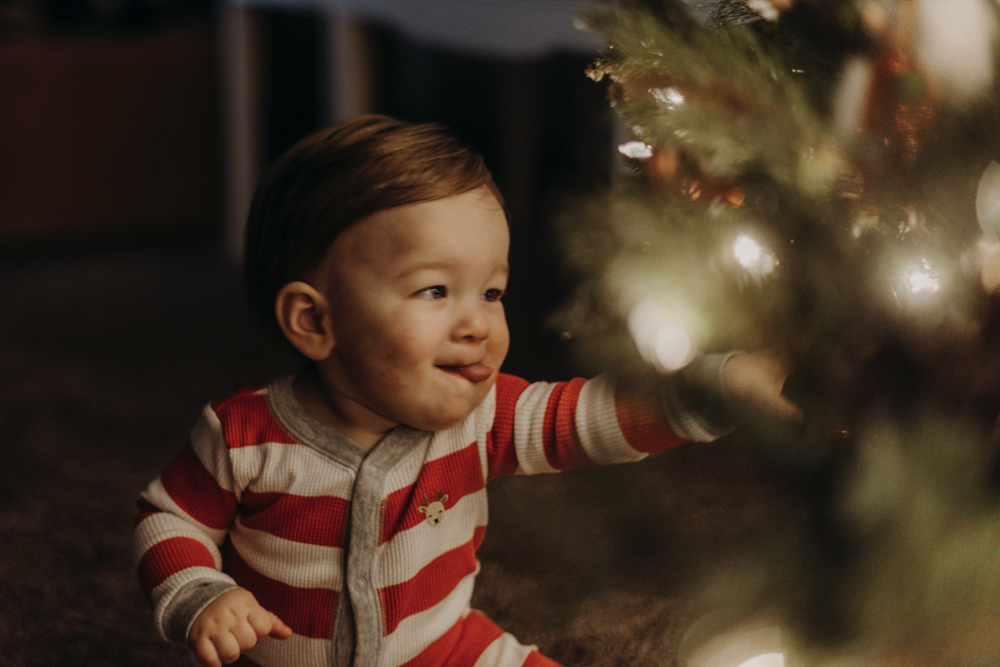 Rawling &amp; Shepherd's Christmas