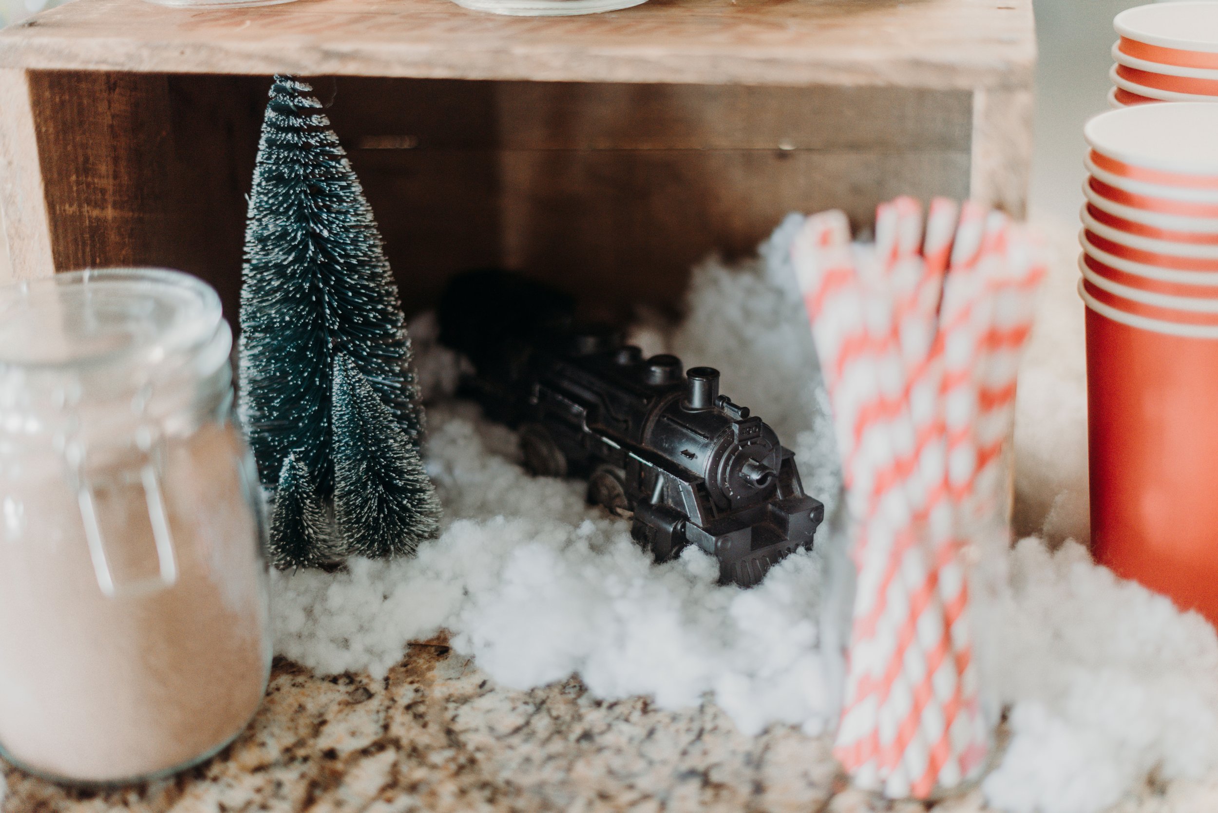 Brooke Summers Photography | Polar Express 4th Birthday Party Inspiration