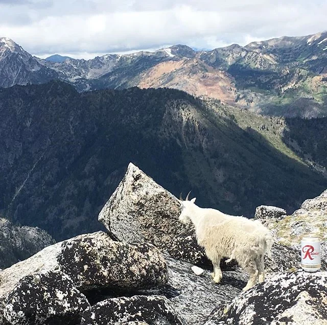 A wild Rainier hanging with a cold mountain goat in the Enchantments #beersandnature