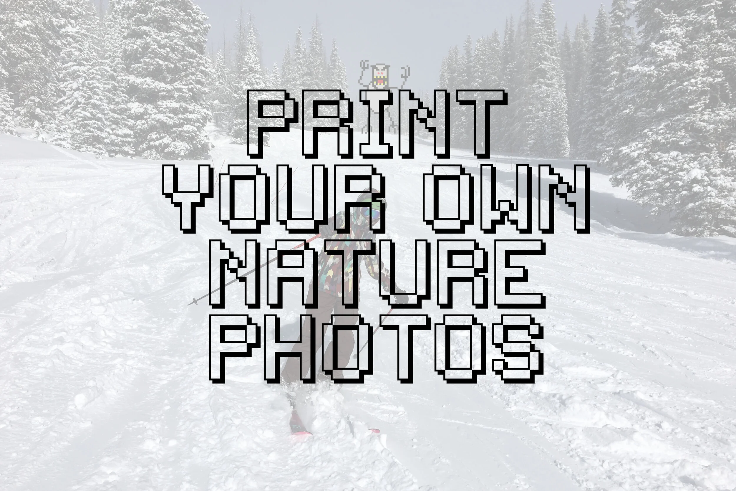 Print Your Own Nature Photo