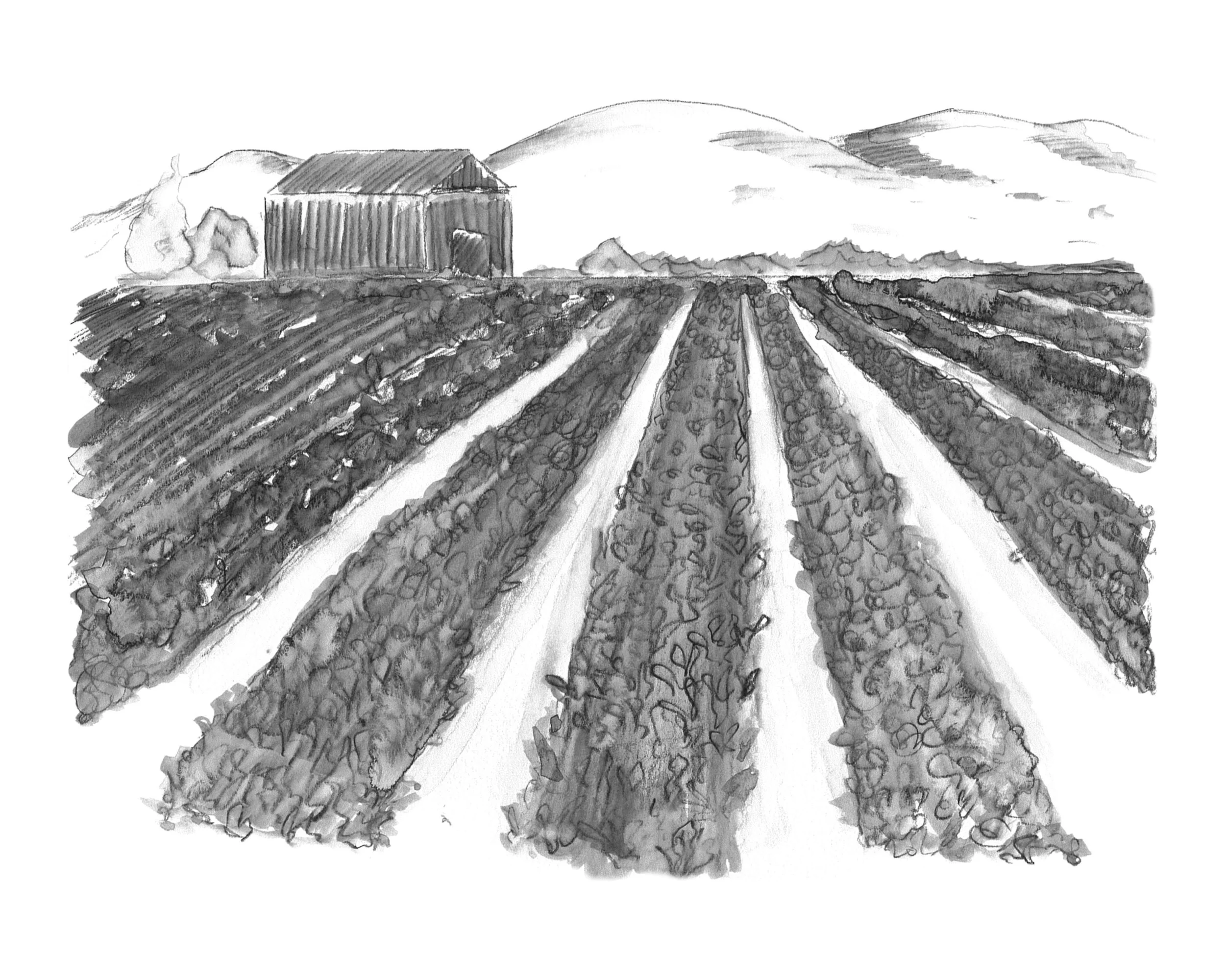 Watsonville Farm