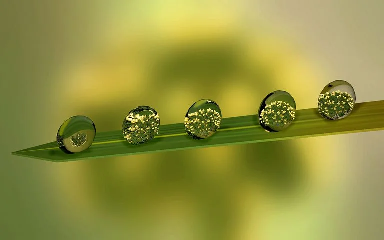 waterdrops-leaf.jpg