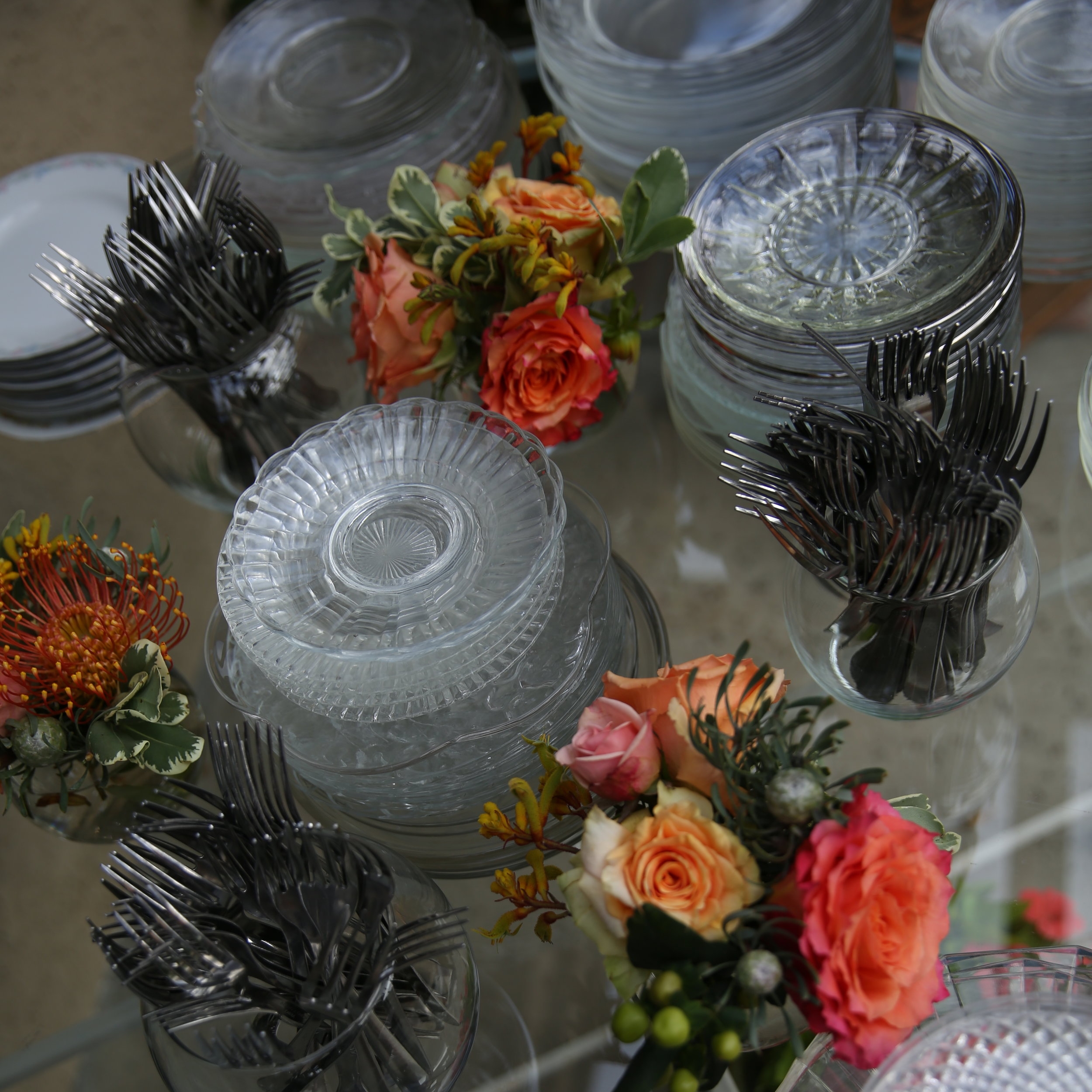 clear glass plates.JPG