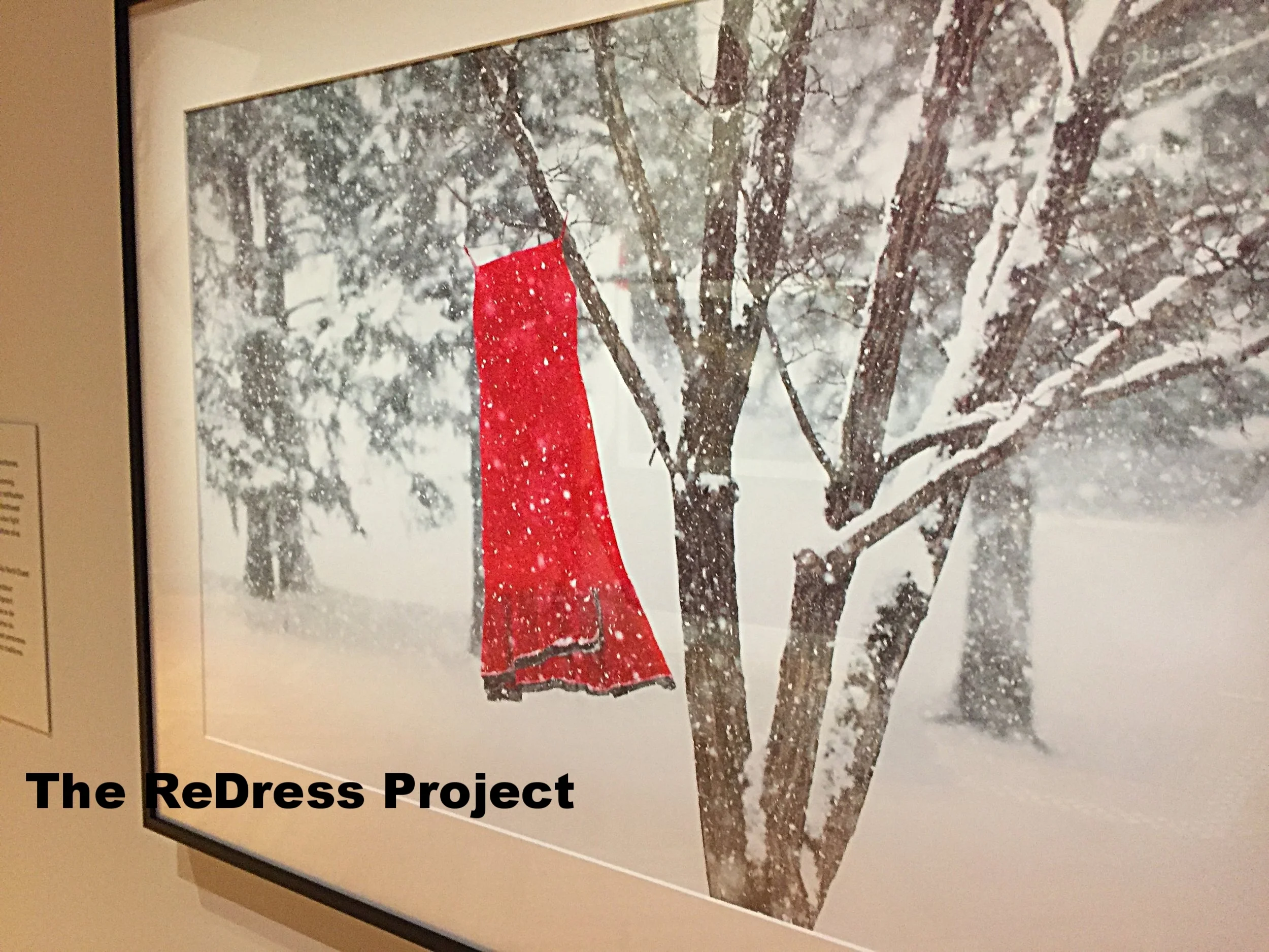 The ReDress Project