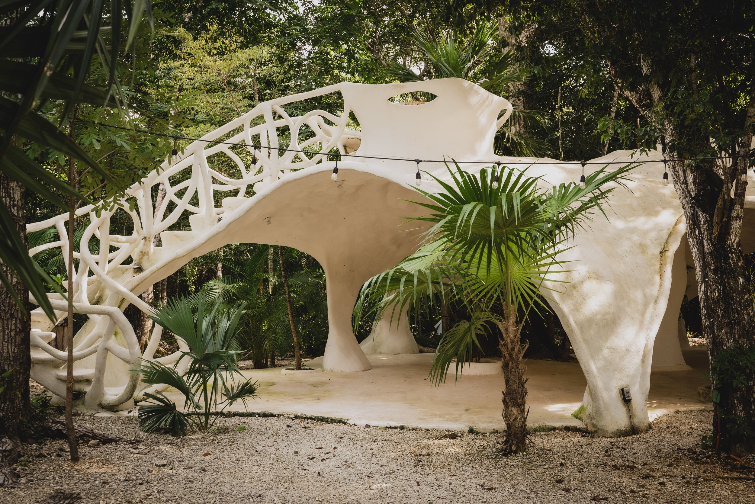 Walk the serene paths connecting you to your inner goddess and the natural world. 