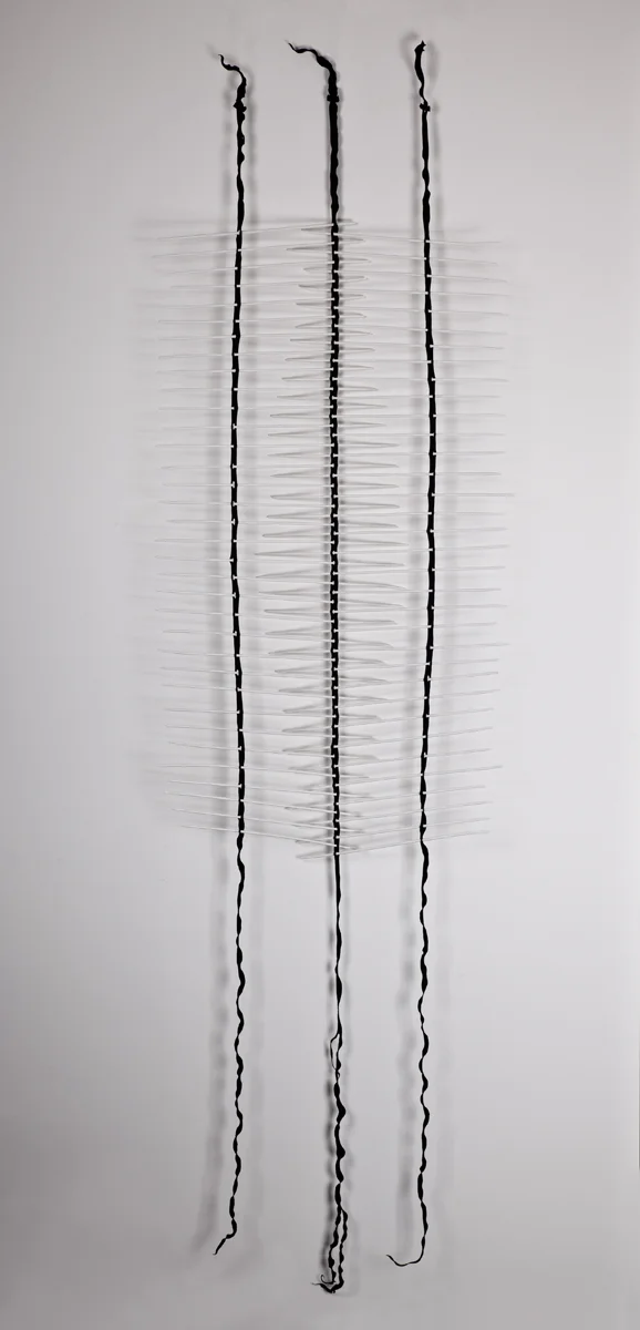 JaneBamford 2017 Porcelain Spines and Bull Kelp 'Complex Systems' 2 strand 234omm x 650mm .jpg