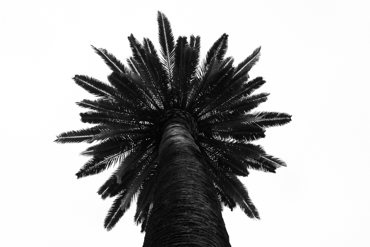 DSCF8858.jpg