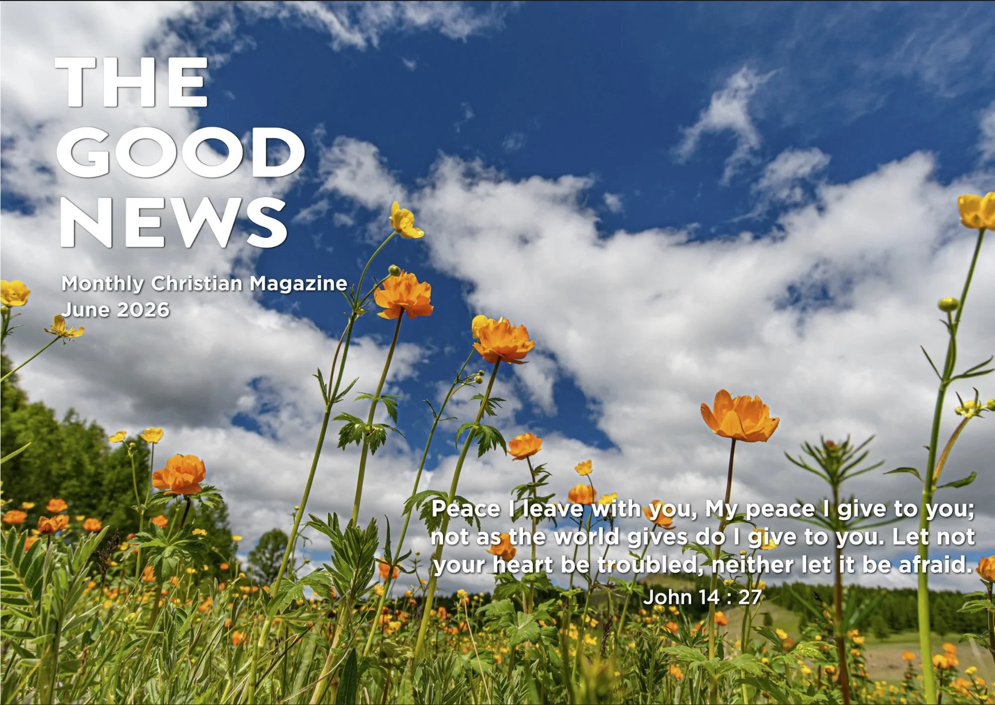 ENGLISH COVER - JUNE.jpg