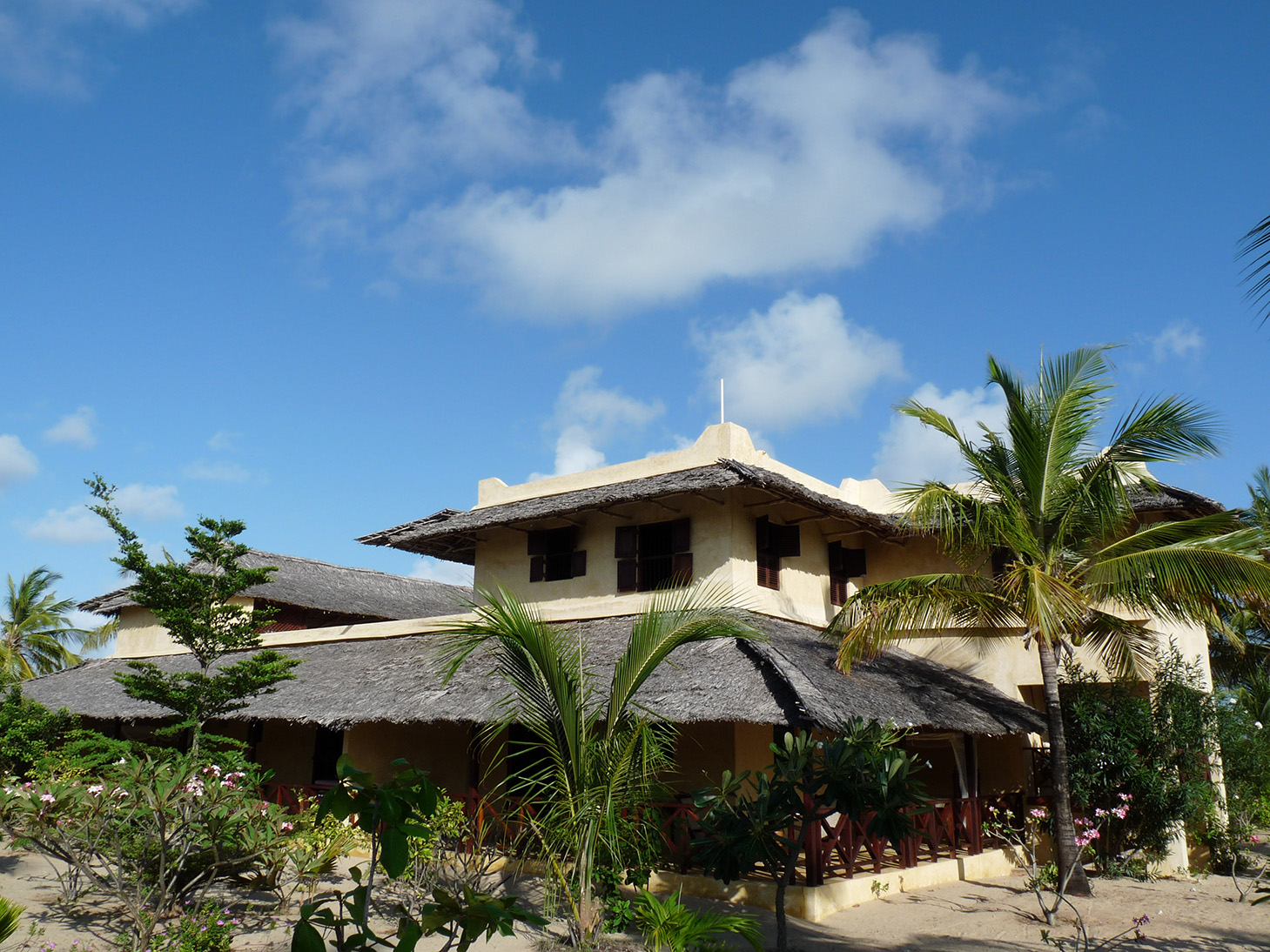 P1080488_2.jpg