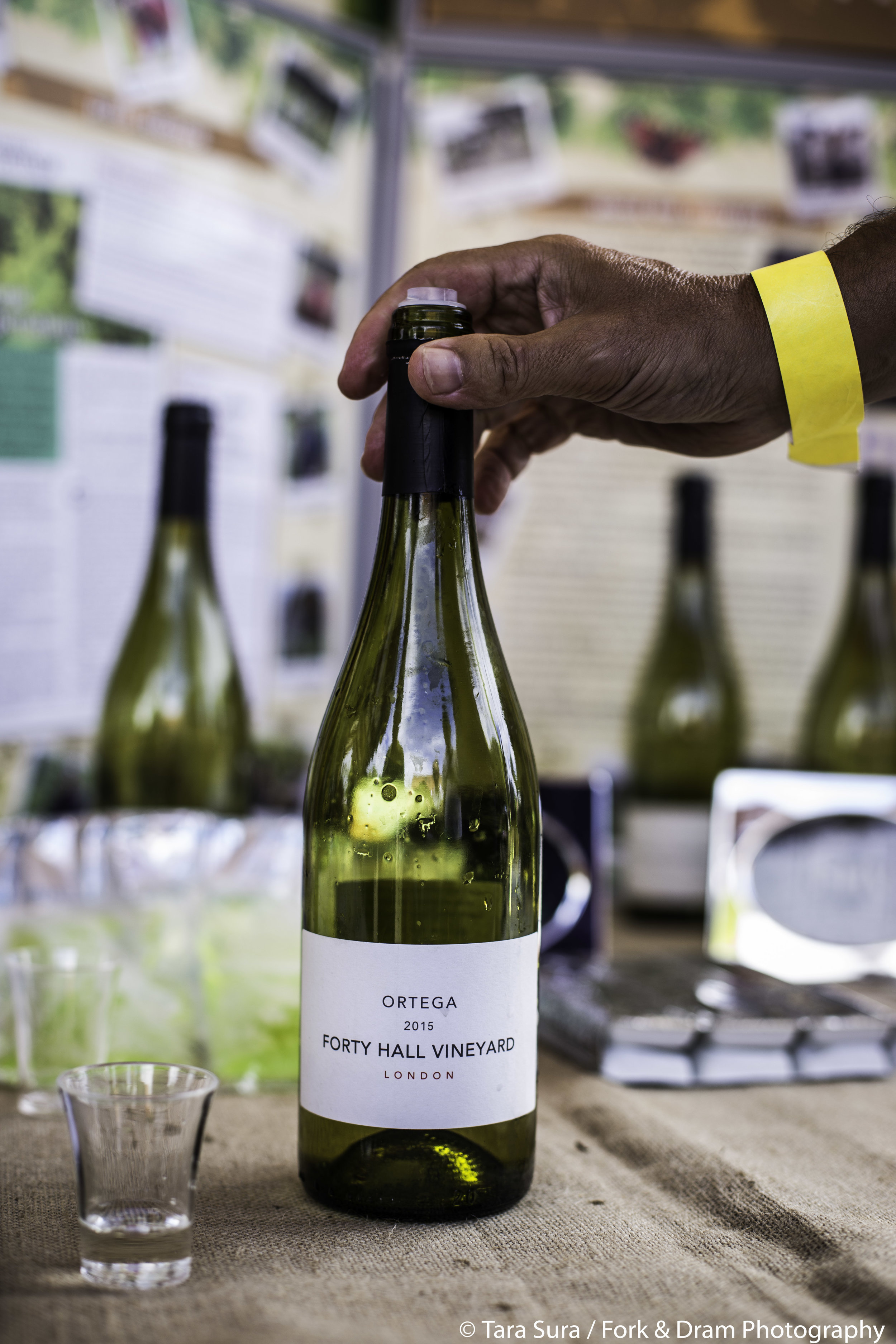 FORTY HALL VINEYARDMeet the volunteers of London's only commercial vineyard and buy their award winning wines. There will be also tours around the vineyard throughout the Festival. plus workshops and activities including wine making at home - …