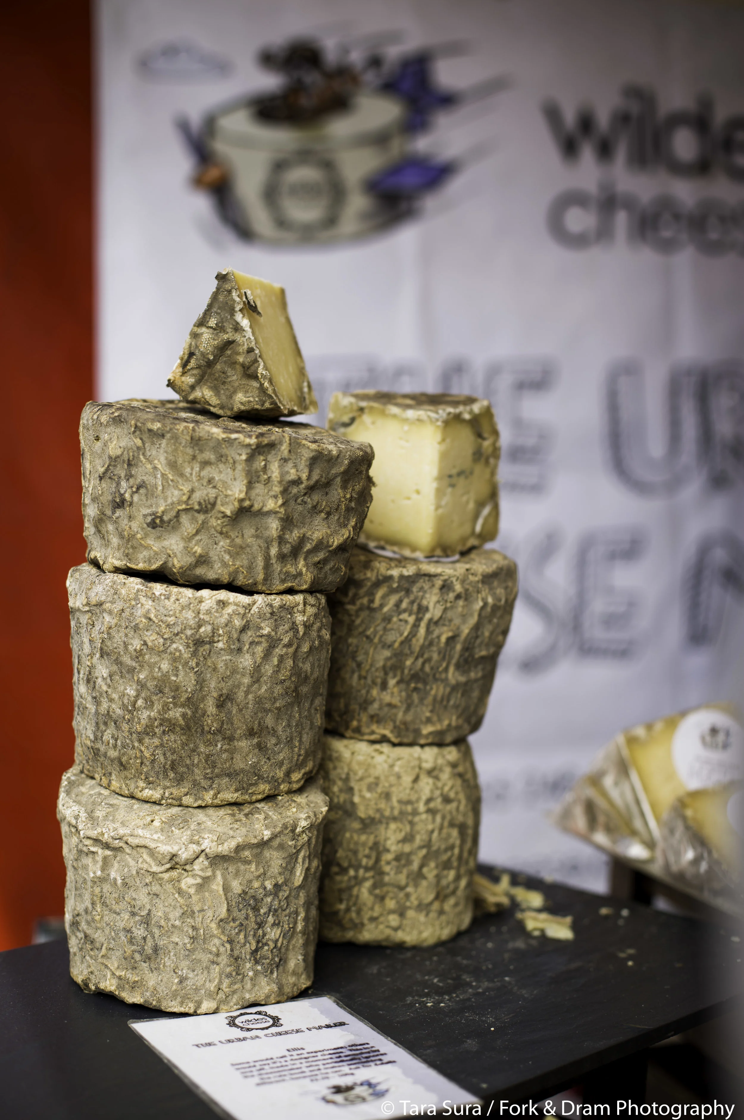 Wildes Cheese by Tara Sura 