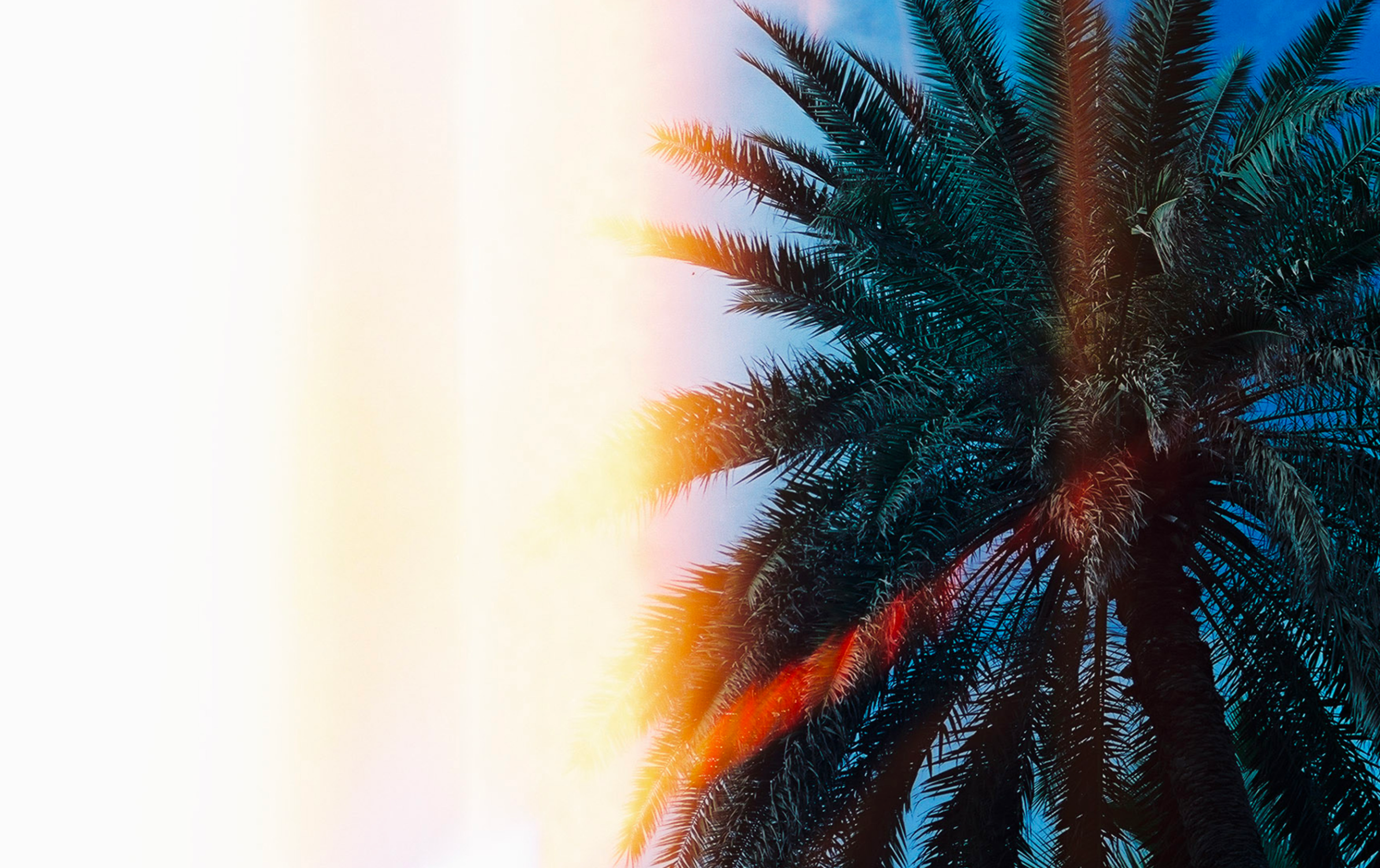 Screen Shot 2025-06-04 at 2.48.37 PM.png