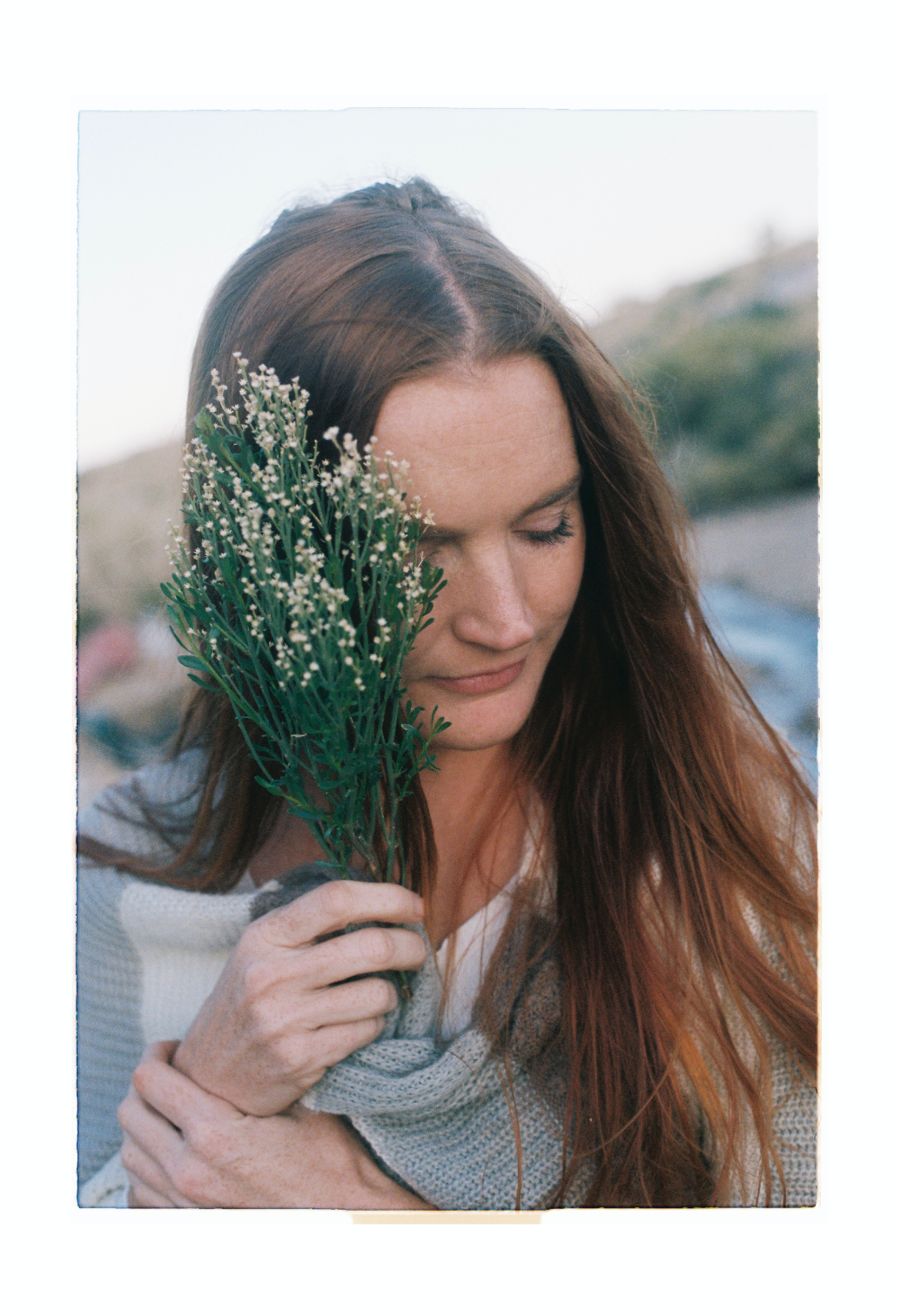 Screen Shot 2025-06-04 at 2.48.04 PM.png