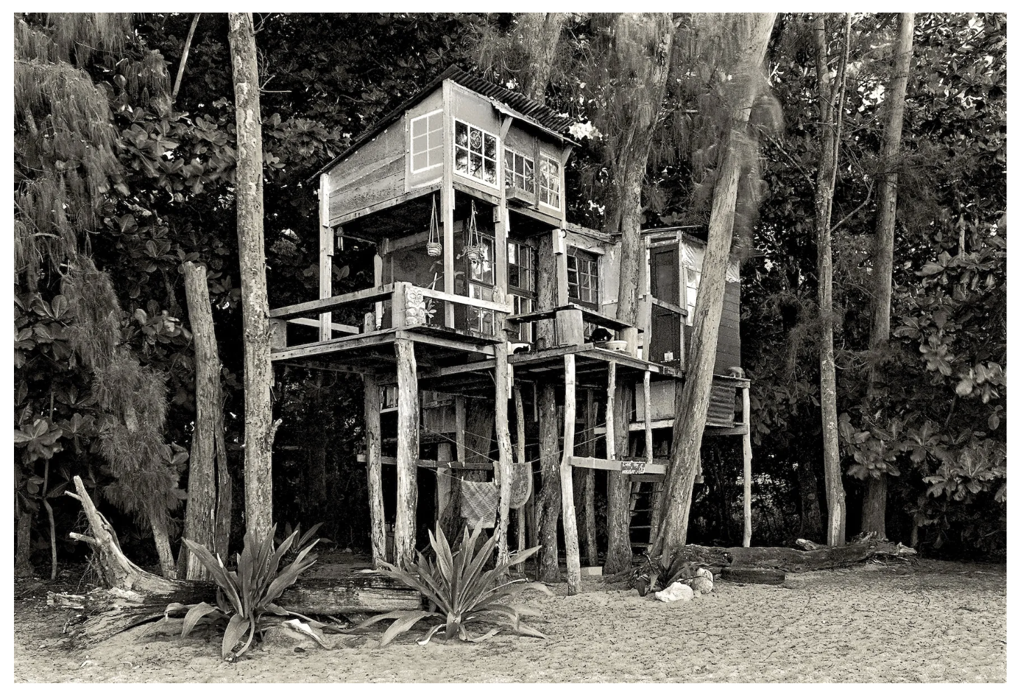 image from taylor camp by john wehrheim