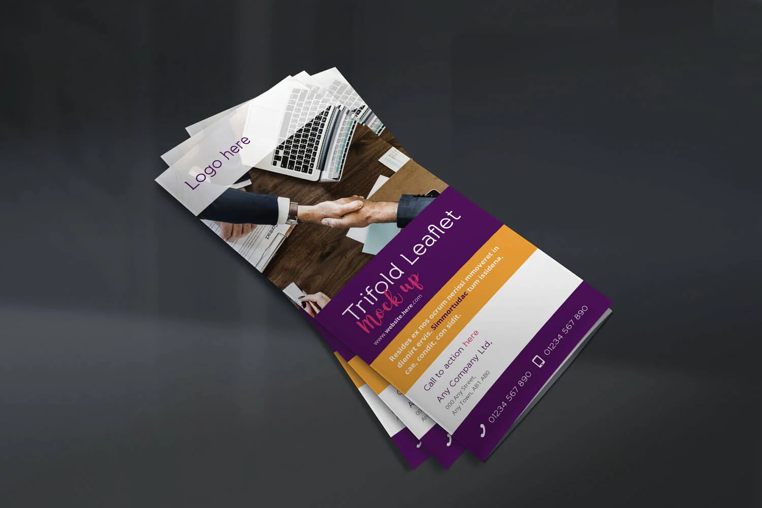 Trifold Leaflet - Concept 1 - Front