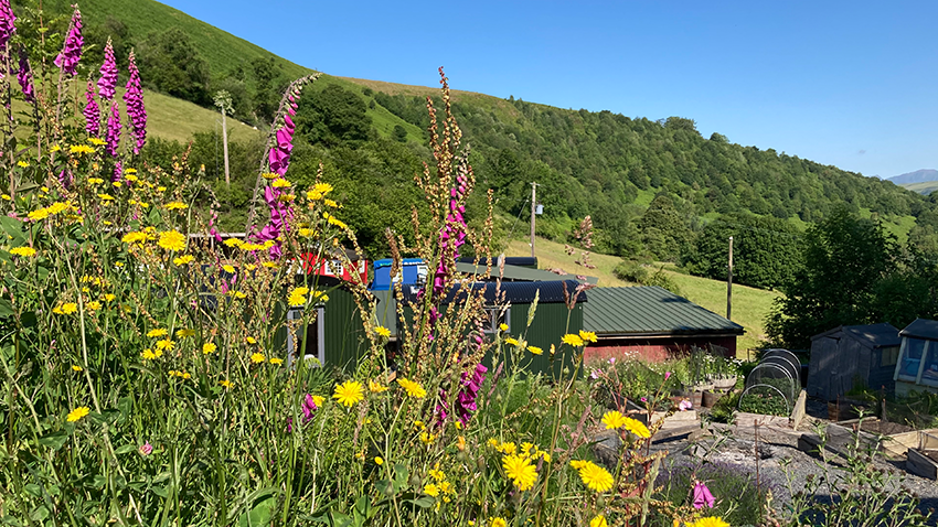 foxgloves and shepherds huts private hideaway glamping and trail luxury experience.png