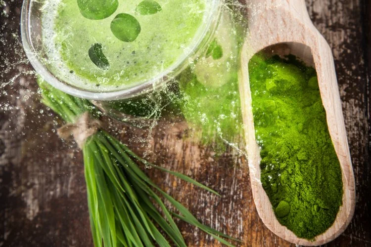15 Of The Best Superfoods And How They Nourish Your Body