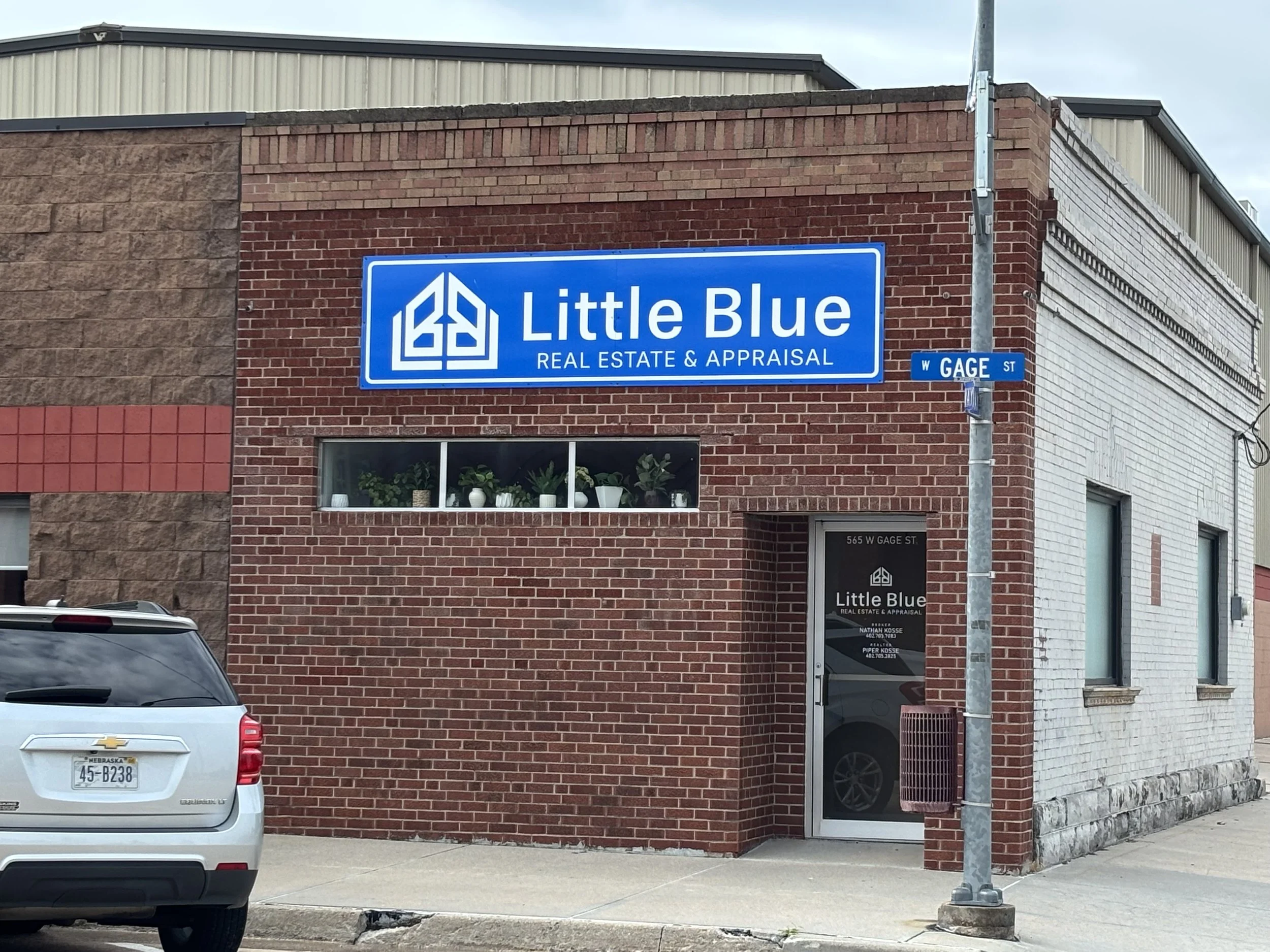 Little Blue.jpeg