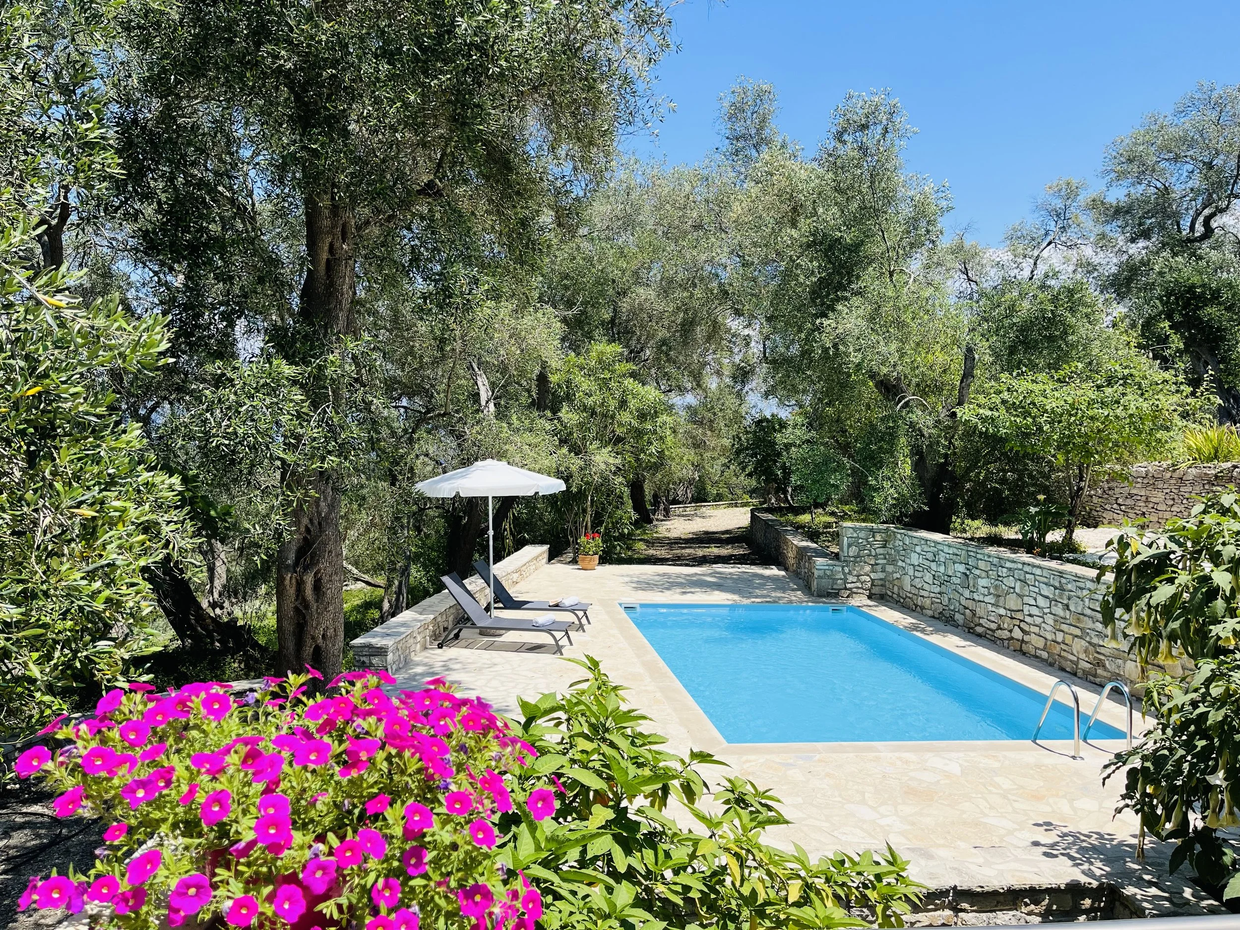 Terrace - swimming pool view
