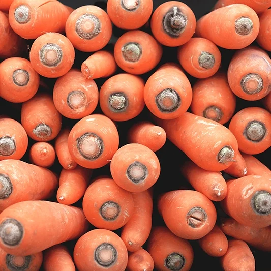 Nutrition Group Homes